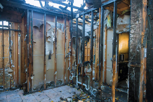 Professional Smoke Damage Removal technician working in Reading, MI